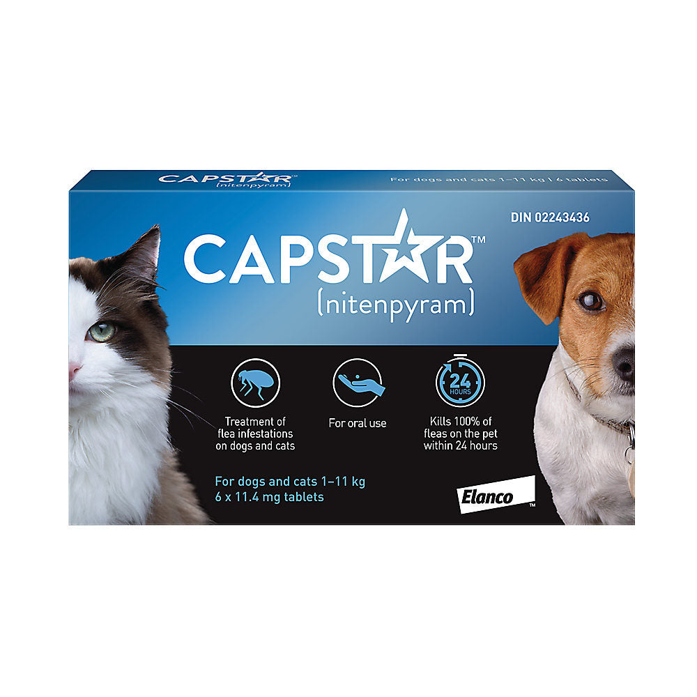 Capstar Traitement anti-puce oral pour petits chiens et chats