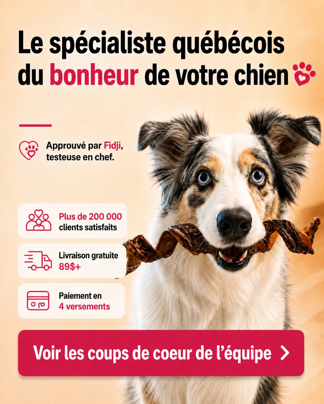 Coup de coeur de l'equipe