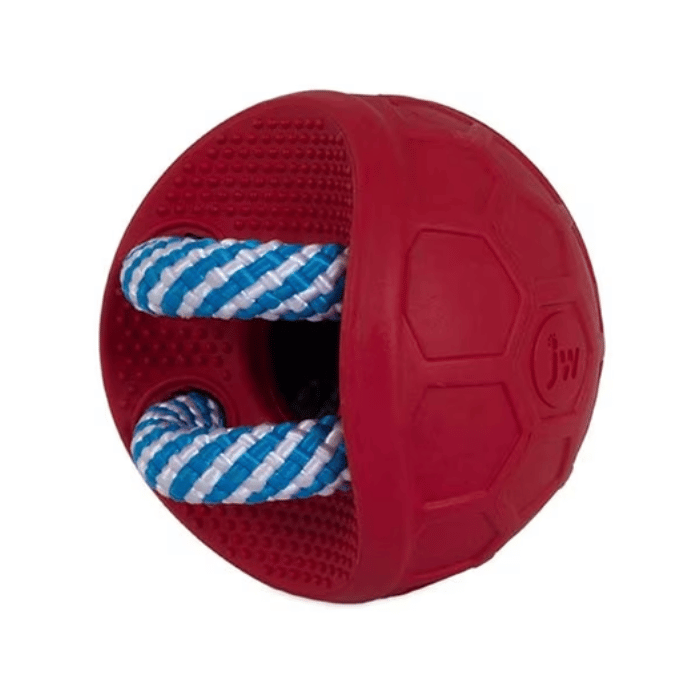 Jouets pour chien > Balles, frisbee, jouet distributeur > Balle alvéolée  cache friandises MINI par JW : Albert le chien