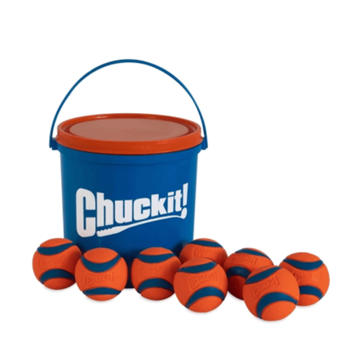 Chuck it balle Chaudière Balle ChuckIt Ultra - Pack 8