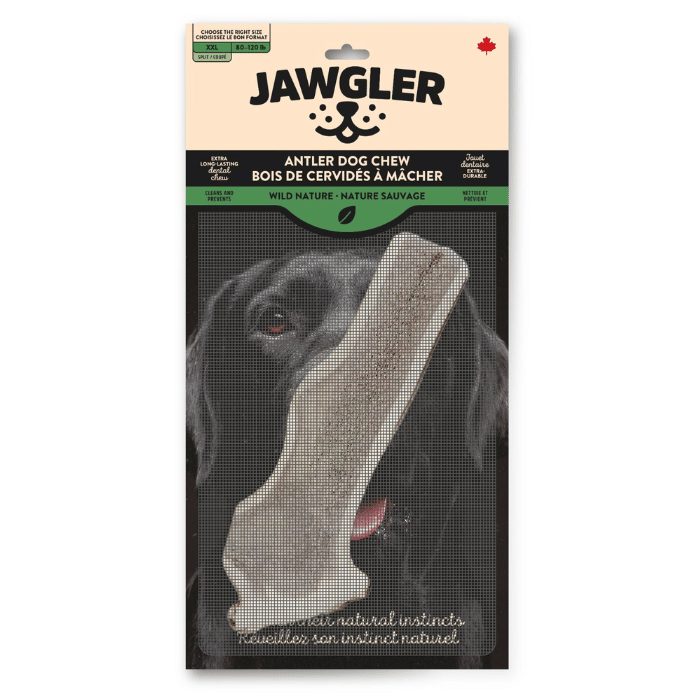 Dentler bois de cerf XX-large Bois de cerf Dentler coupé en deux Bois de cerf Dentler coupé en deux