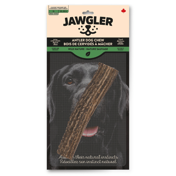 Dentler bois de cerf Jumbo Bois de cerf Dentler entier Bois de cerf Dentler entier