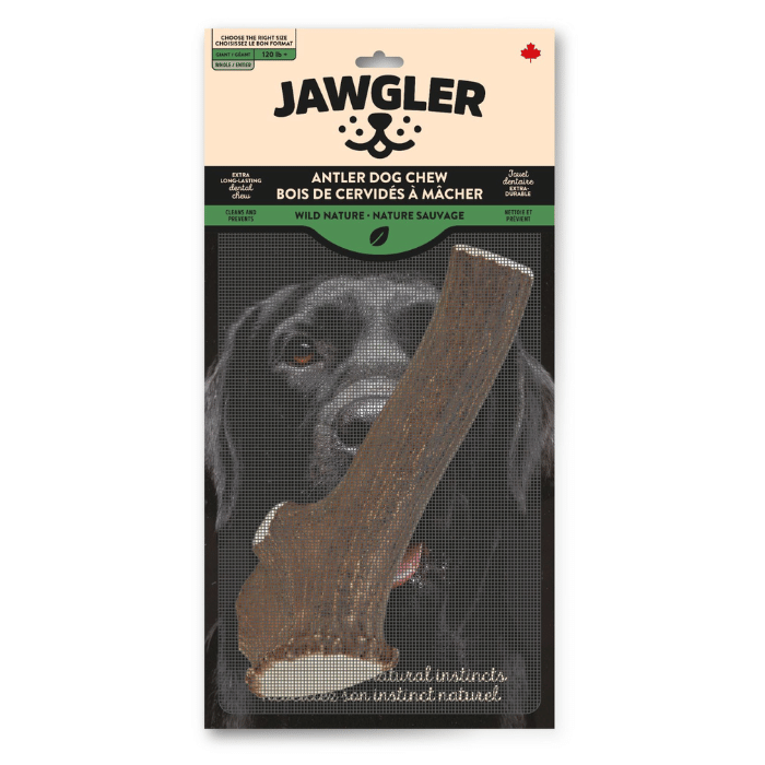 Dentler bois de cerf Jumbo Bois de cerf Dentler entier Bois de cerf Dentler entier