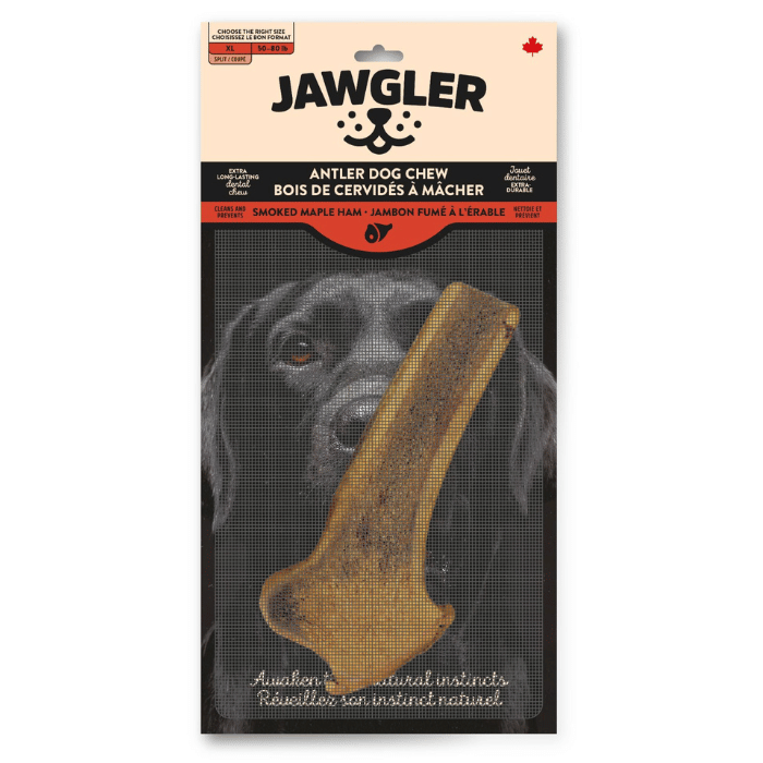 Dentler bois de cerf XX-Grand Bois de cervidé coupé jambon érable Dentler Bois de cervidé coupé jambon érable Dentler