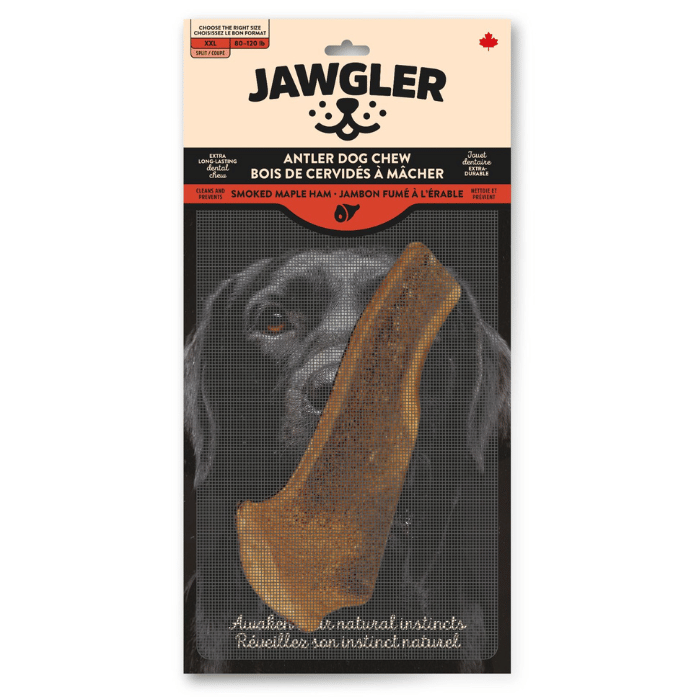 Dentler bois de cerf XX-Grand Bois de cervidé coupé jambon érable Dentler Bois de cervidé coupé jambon érable Dentler