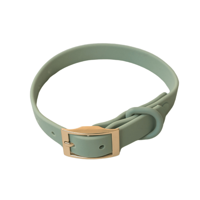 Dexypaws Dexypaws Collier Imperméable Pour Chien, Couleur Vert Sauge