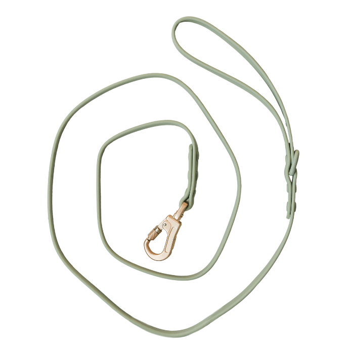 Dexypaws Dexypaws Laisse Imperméable Pour Chien, Couleur Vert Sauge