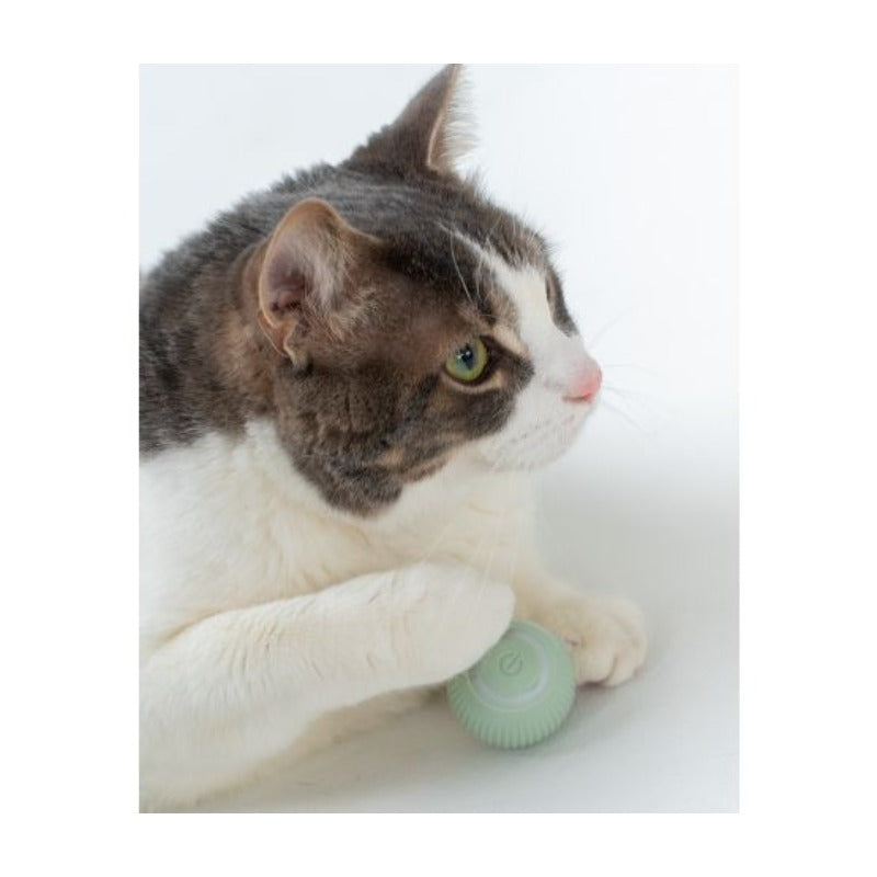 Dexypaws Jouet Dexypaws - Jouet interactif pour chat, boule rotative intelligente vert sauge Dexypaws - Jouet interactif pour chat, boule rotative intelligente vert sauge