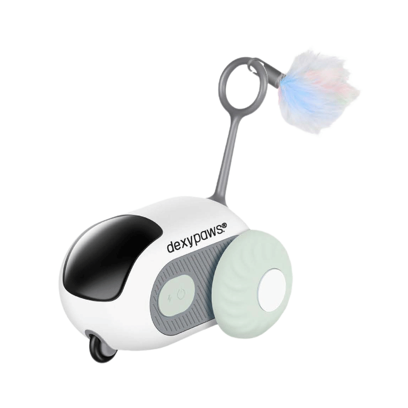 Dexypaws Jouet Dexypaws - Jouet interactif pour chat, souris vert sauge Dexypaws - Jouet interactif pour chat, souris vert sauge