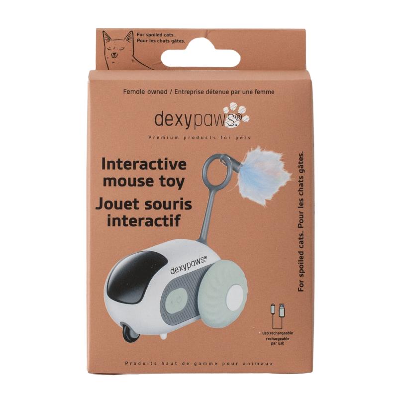Dexypaws Jouet Dexypaws - Jouet interactif pour chat, souris vert sauge Dexypaws - Jouet interactif pour chat, souris vert sauge