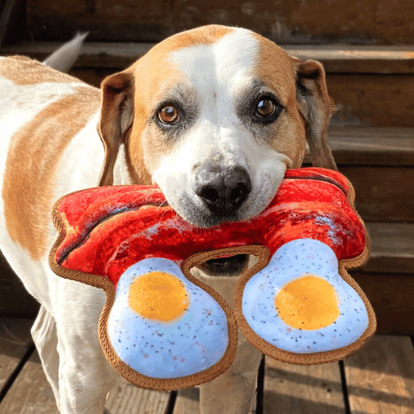 Jouet calmant pour chiens Tuffer Chewer Oeuf et Bacon de Doggijuana ...