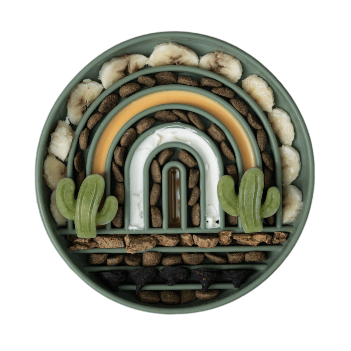 Dogs crush Bol ralentisseur arc-en-ciel