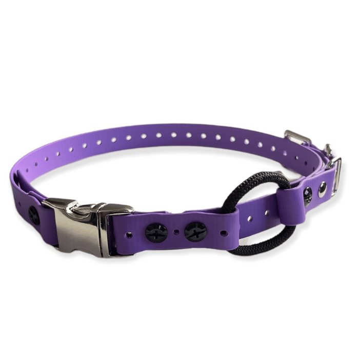 E-collar technologies bungee Mauve Quick Snap Bungee 3/4&#39;&#39; E-collar Technolgies