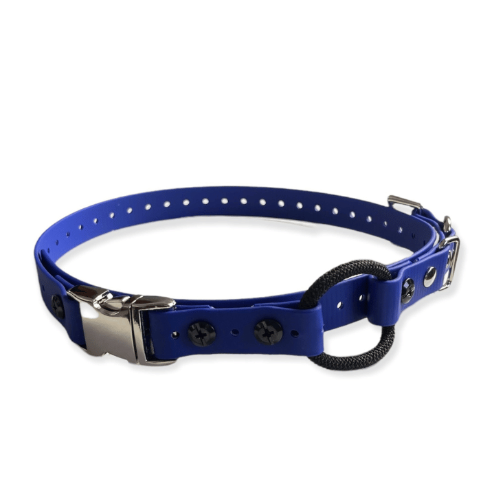 E-collar technologies bungee Bleu Quick Snap Bungee 3/4&#39;&#39; E-collar Technolgies