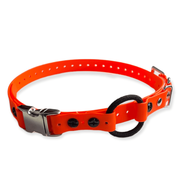 E-collar technologies bungee Orange Quick Snap Bungee 3/4&#39;&#39; E-collar Technolgies