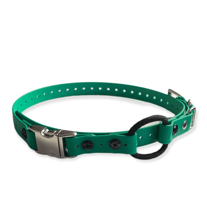 E-collar technologies bungee Vert Quick Snap Bungee 3/4&#39;&#39; E-collar Technolgies