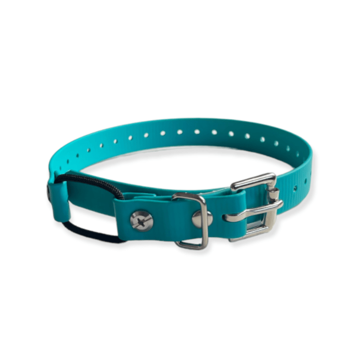 E-collar technologies bungee Quick Snap MINI Bungee 3/4'' E-collar Technolgies