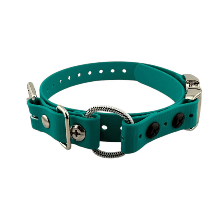 E-collar technologies bungee Teal Quick Snap MINI Bungee 3/4'' E-collar Technolgies Quick Snap MINI Bungee 3/4'' E-collar Technolgies