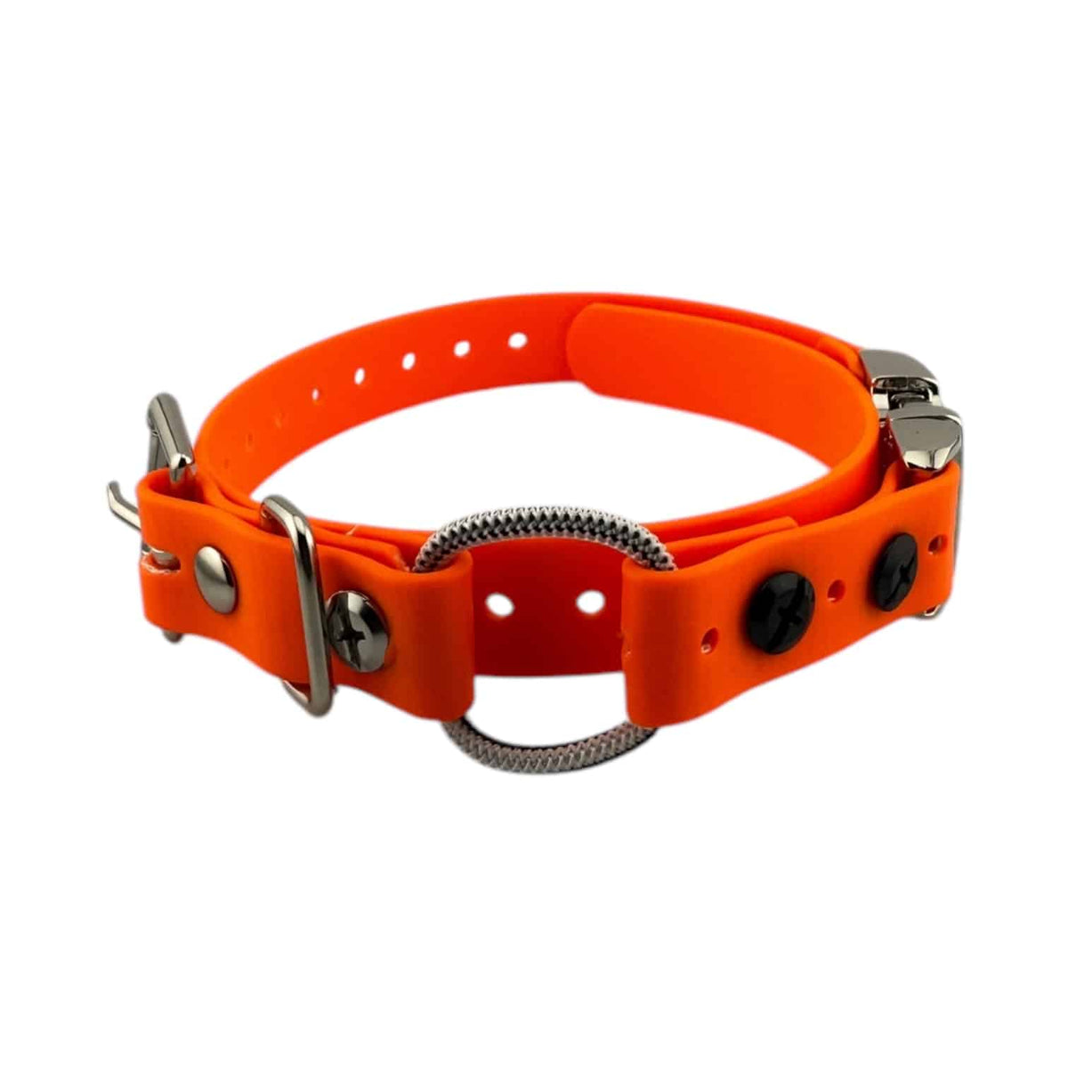 E-collar technologies bungee Quick Snap MINI Bungee 3/4'' E-collar Technolgies Quick Snap MINI Bungee 3/4'' E-collar Technolgies