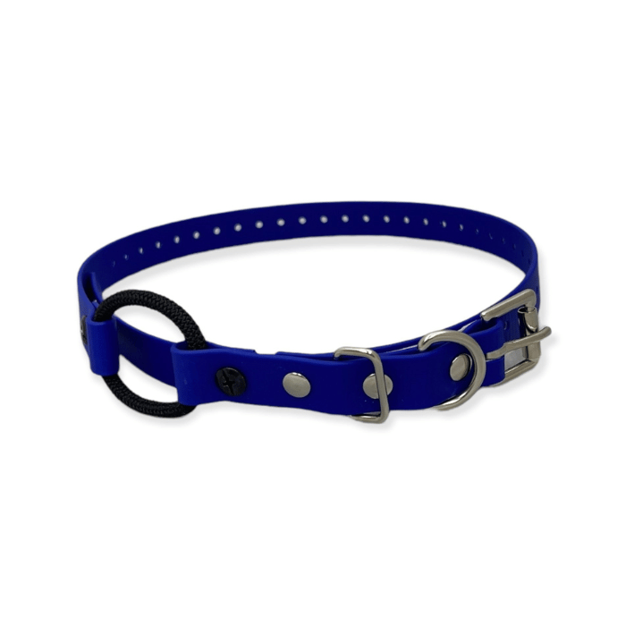 E-collar technologies collier Bleu Collier Bungee 3/4&#39;&#39; en Biothane 33&#39;&#39; de long