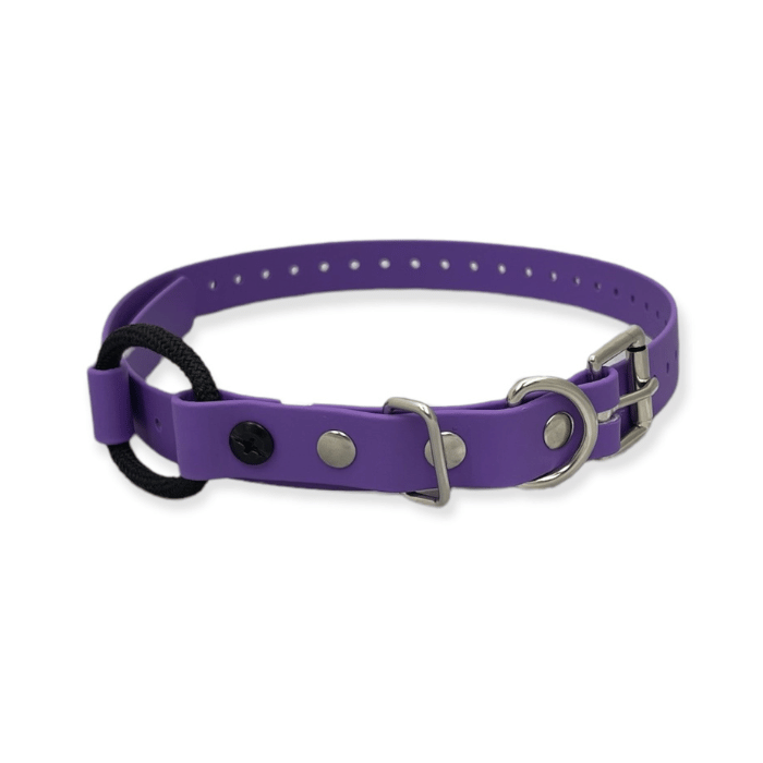 E-collar technologies collier Mauve Collier Bungee 3/4&#39;&#39; en Biothane 33&#39;&#39; de long