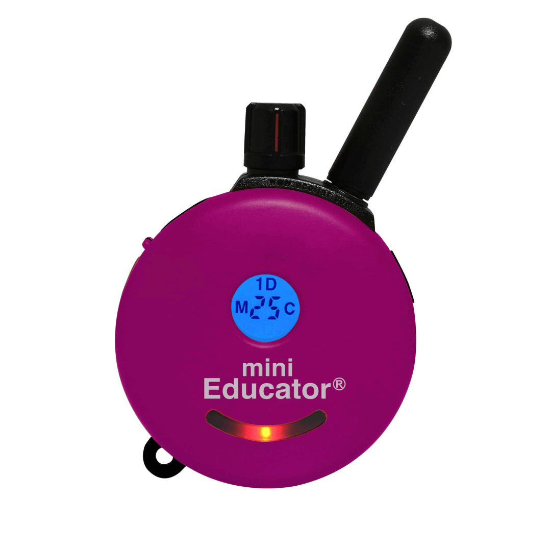 E-collar technologies exclus Magenta Couvert de rechange pour Educator ET-300