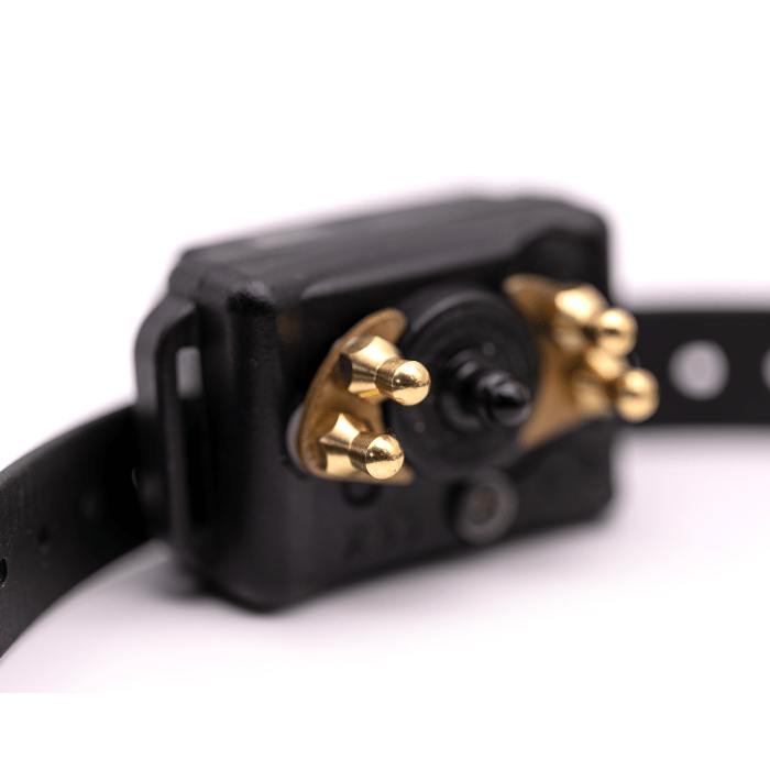 E-collar technologies Point de contact CPAD-005 Short Point Barkless Comfort Pad