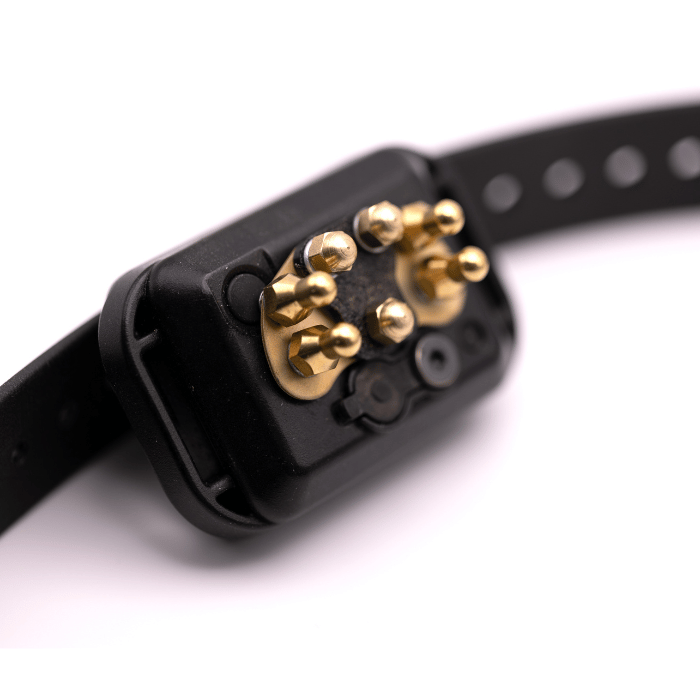 CPAD 012 Short Point Comfort Pad Sherbrooke Canin