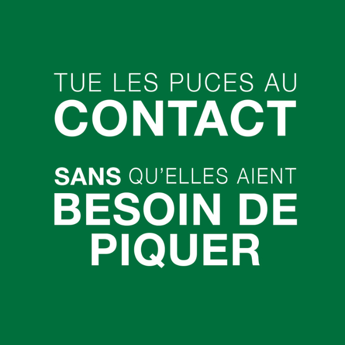 Elanco Advantage II pour chat 4 dose