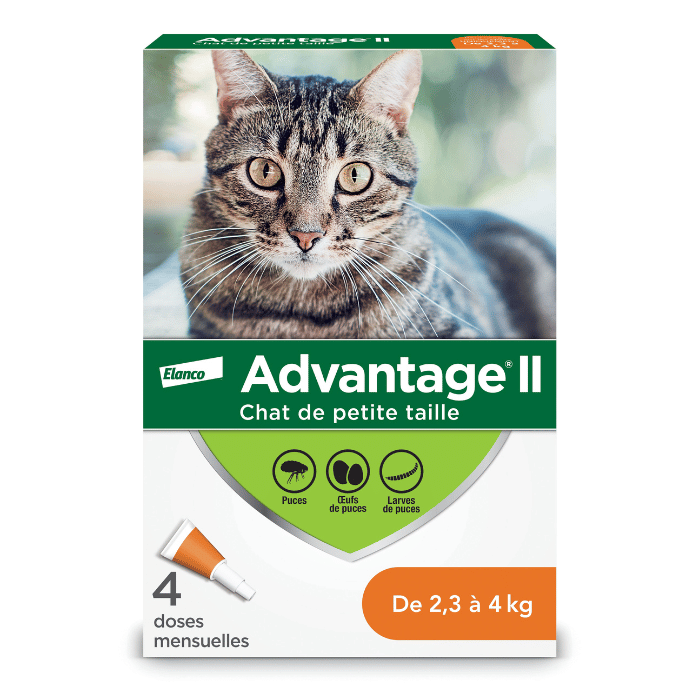 Elanco 2.3 - 4kg Advantage II pour chat 4 dose