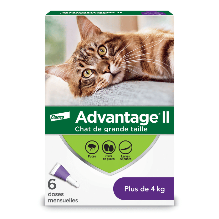 Elanco Advantage II pour chat 6 dose