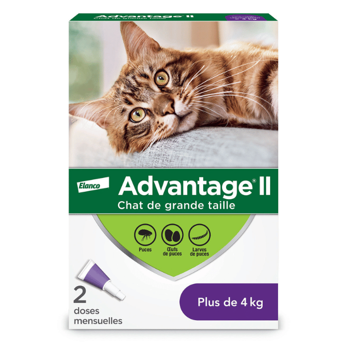 Elanco 2.3 - 4kg Advantage II traitement topique mensuel contre les puces, pour chats 2 doses Advantage II traitement topique mensuel contre les puces, pour chats 2 doses