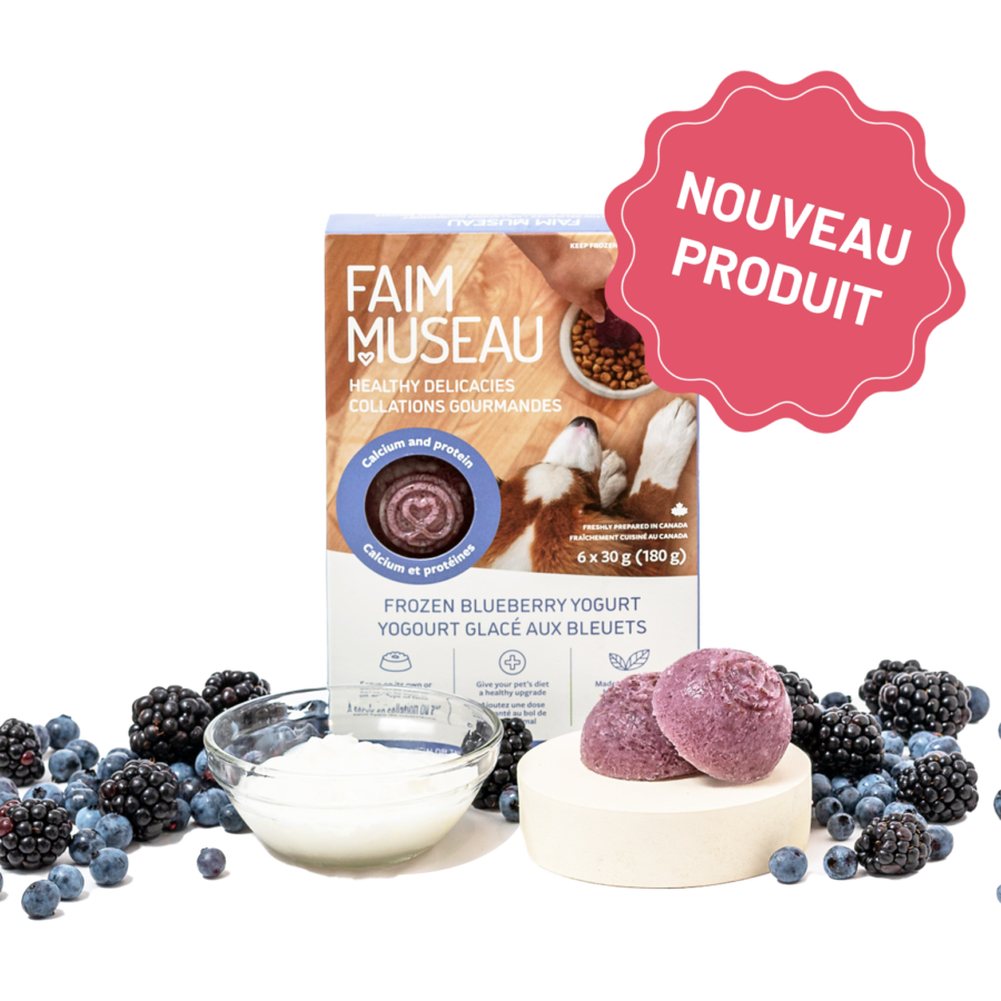 Faim Museau Collation pour chien Default Le p'tit Bouillon - Collation Nutritive Faim Museau - En magasin seulement Medallion Boeuf Faim Museau | Nourriture crue pour chien | Sherbrooke Canin