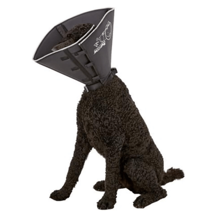 Four Paws Comfy Cone - Collier Confortable et Souple, Alternative après Chirurgie, Soins des Plaies, Stérilisation - Collier de Récupération pour Chiens et Chats - LIQUIDATION