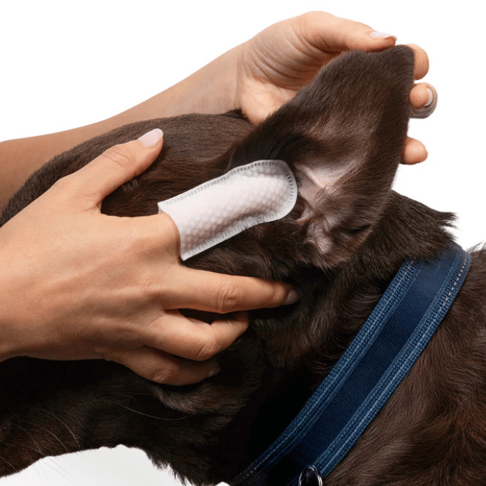 Goo-eez Lingettes pour oreilles - Paquet de 60 Lingettes pour oreilles - Paquet de 60