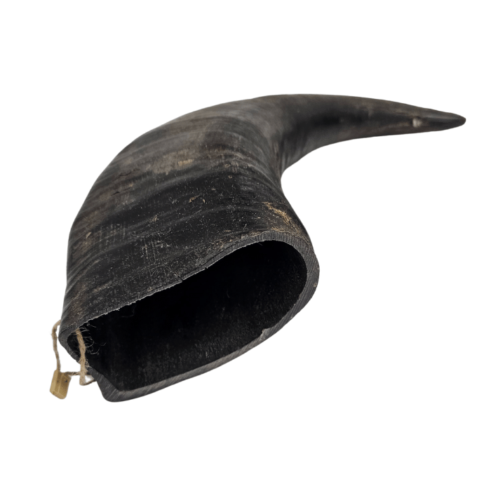 Gourmet 4Pattes os a macher Corne de buffle Corne de buffle