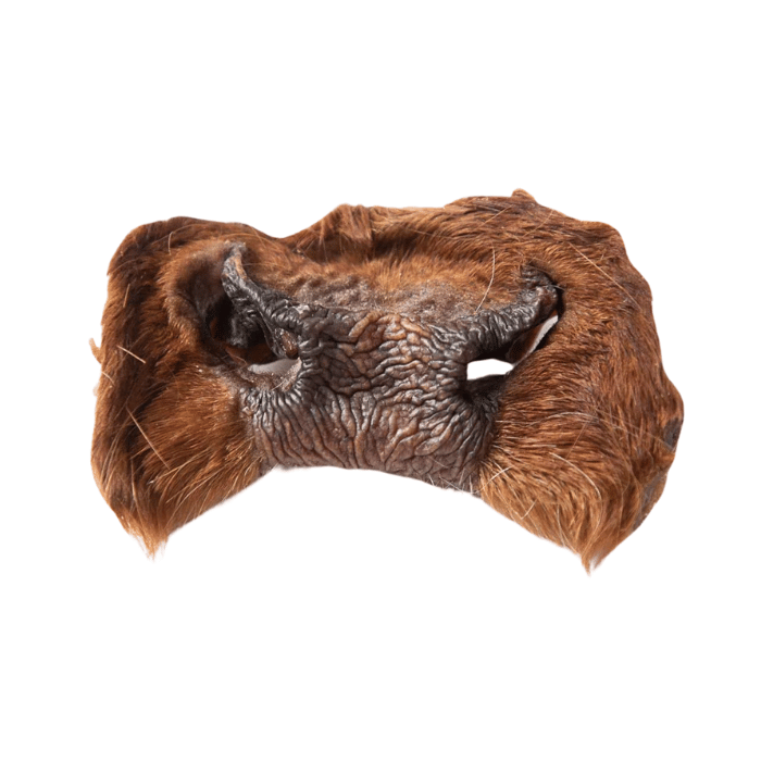 Grand Valley Quail Pet Treats Nez de boeuf déshydraté