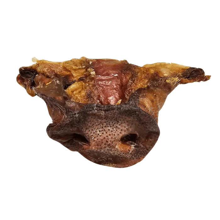 Grand Valley Quail Pet Treats Nez de porc entier