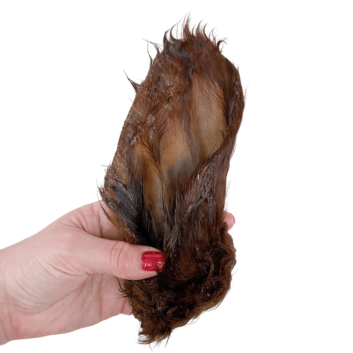 Grand Valley Quail Pet Treats Oreille de boeuf poilue