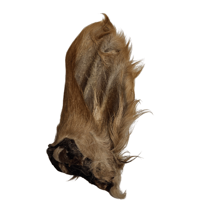 Grand Valley Quail Pet Treats Oreille de boeuf poilue