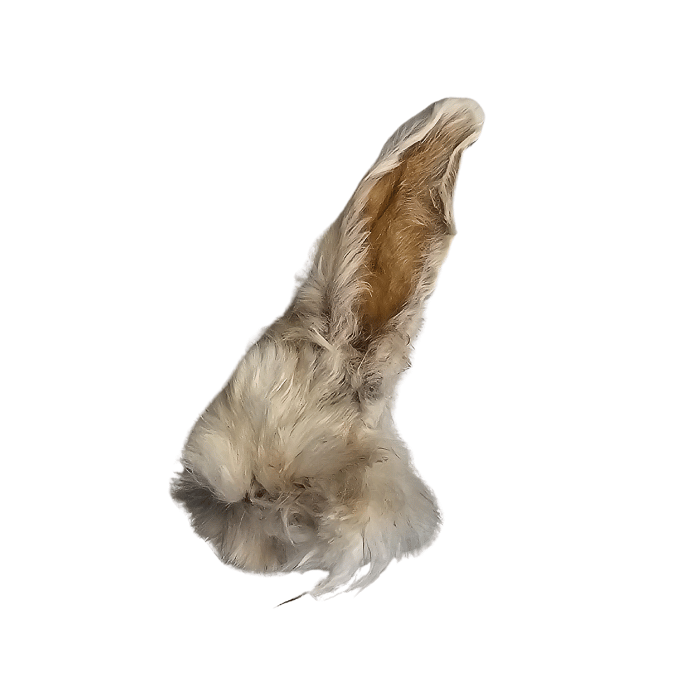 Grand Valley Quail Pet Treats Oreille de lapin