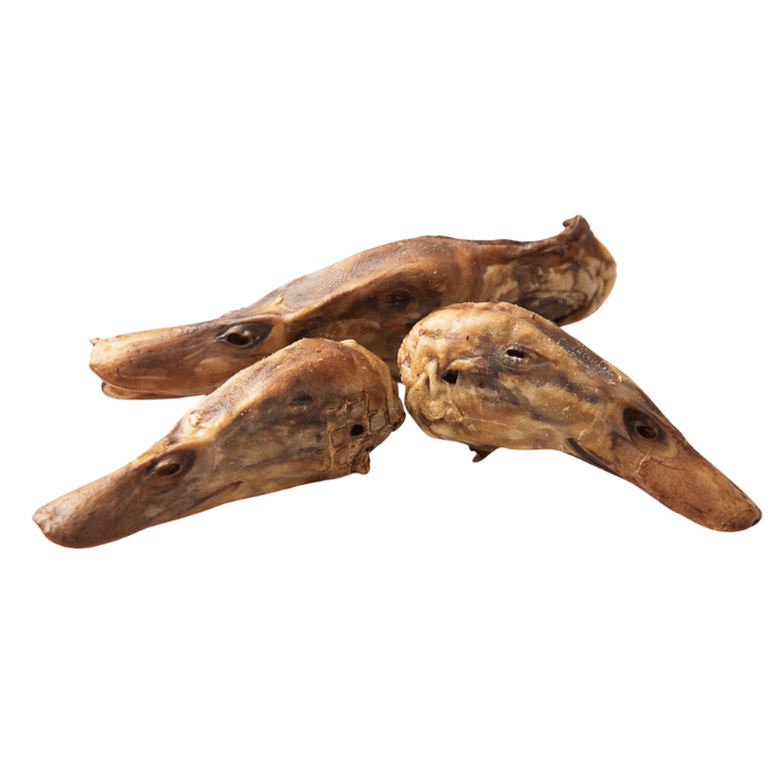 Grand Valley Quail Pet Treats Tête de canard déshydratée