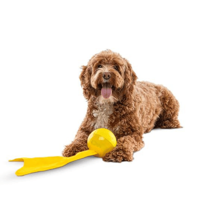 Guru Jouet interactif - Balle Bonanza