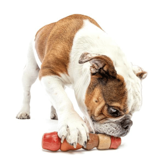 Guru Jouet interactif - Guru Bâton multi-saveur