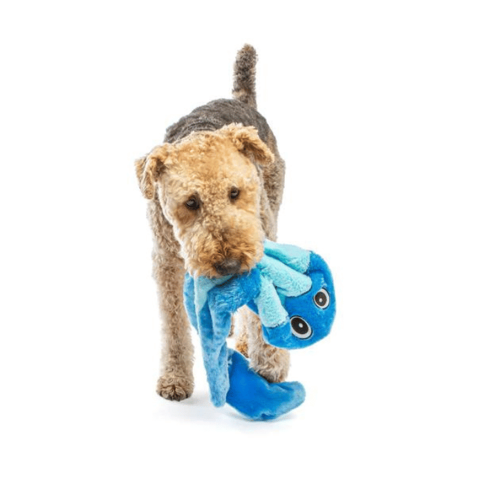 Guru Jouet interactif - Guru Hide-A-Tail serpent bleu