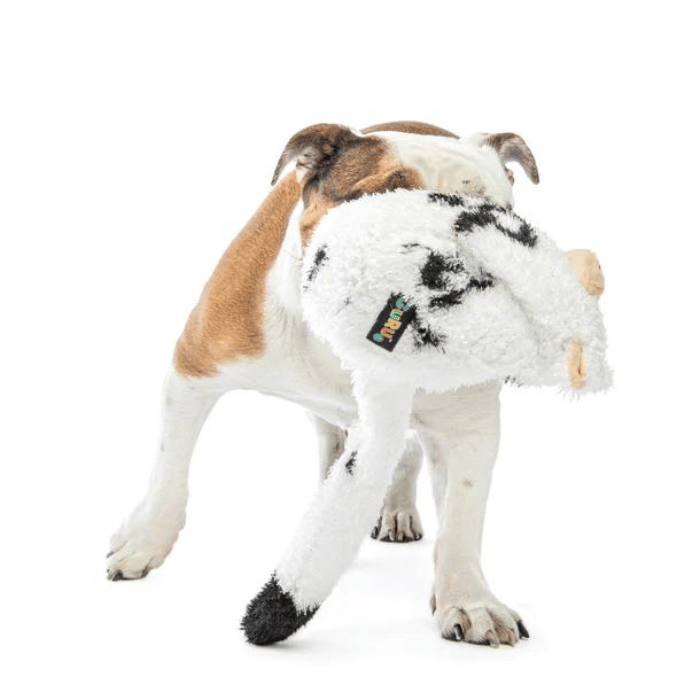 Guru Jouet interactif - Guru Hide-A-Tail vache