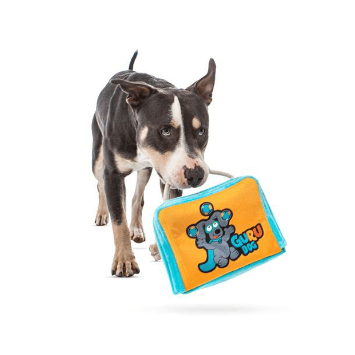 Guru Large Jouet interactif - Guru Juggling Fun Box