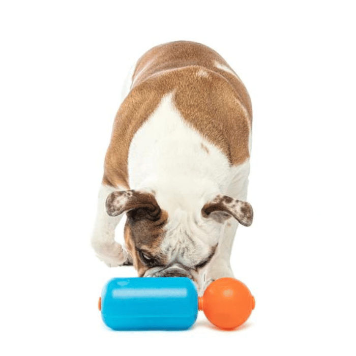 Guru Jouet interactif - Guru Treat Challenger