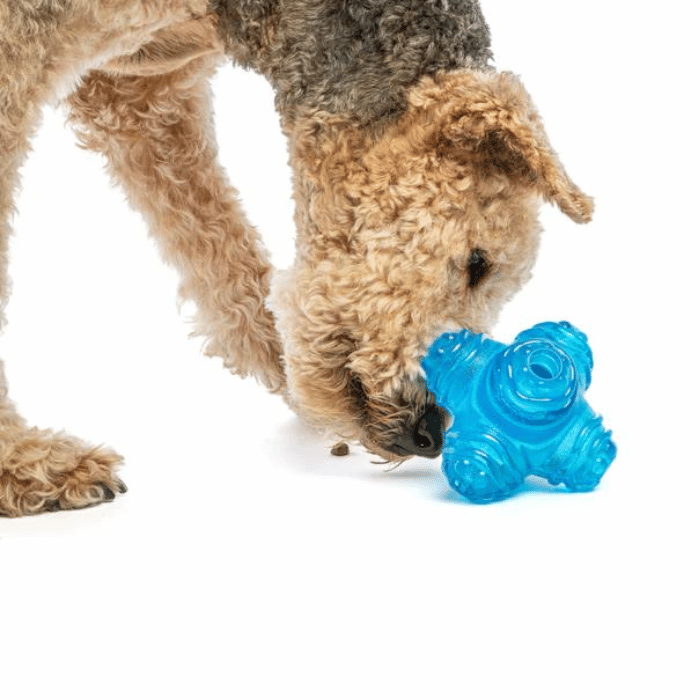 Guru Jouet interactif pour chiens - Guru Puzzle Jack