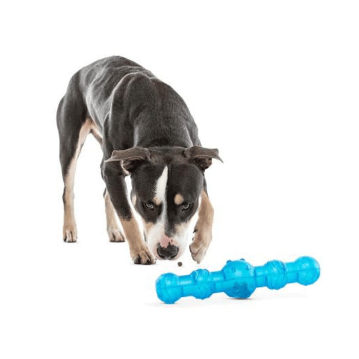Guru Jouet interactif pour chiens - Guru Shaker Stick